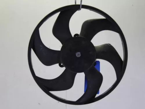 Koelvin Motor-7894681 (1307682)