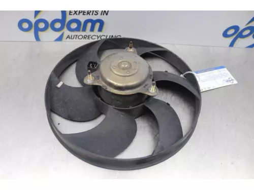 Koelvin Motor-7877557