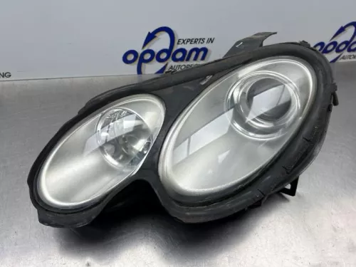 Koplamp links-8245989 (22209167)
