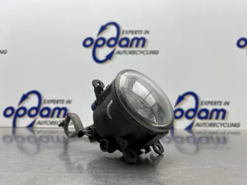 Mistlamp links-voor-8277485 (22145521)