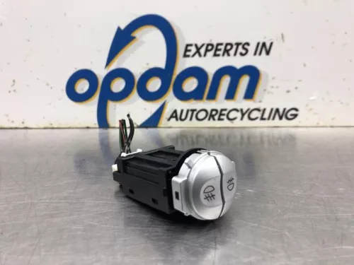 Mistlamp Schakelaar-8047284