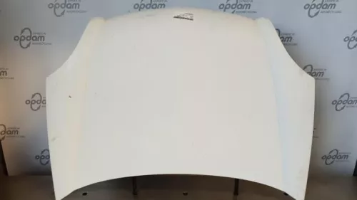 Motorkap-7851045 (10295160)