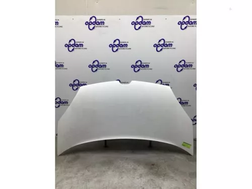 Motorkap-8145883
