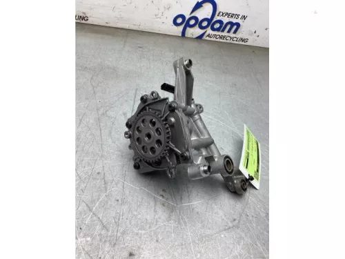 Oliepomp-7845445 (22522818)