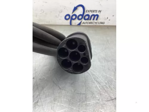 Oplaadkabel hybride-8316996 (22517069)