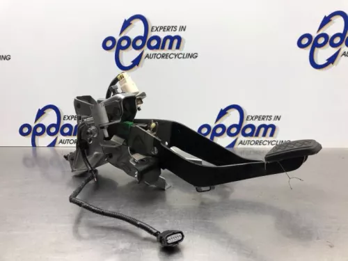 Pedalen Set-8139102 (21256367)