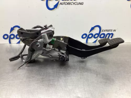 Pedalen Set-8031254 (19301662)