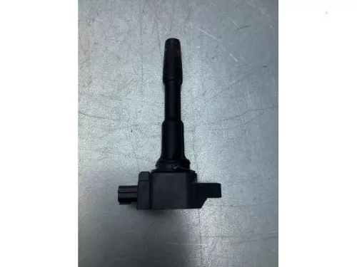 Pen Bobine-7729949 (17130410)