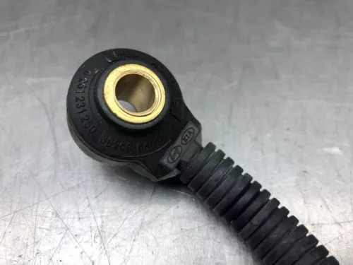 Pingelsensor-7940559 (20431159)