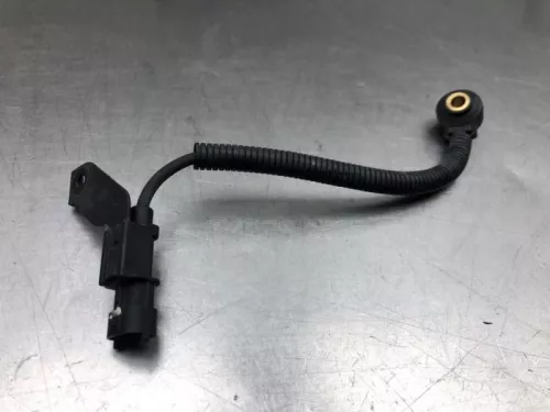 Pingelsensor-7940559 (20431159)