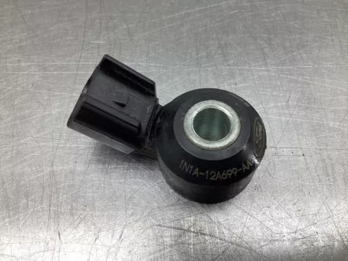 Pingelsensor-7767055 (19043799)