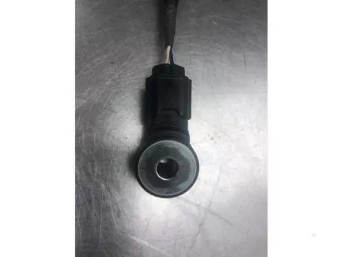 Pingelsensor-7881122 (19076787)