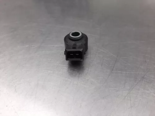 Pingelsensor-