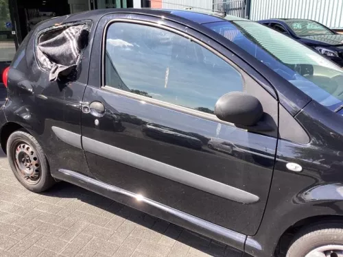 Portier 2Deurs rechts-8080672