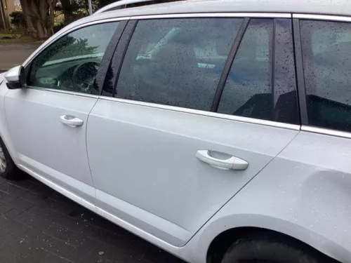 Portier 4Deurs links-achter-8283399