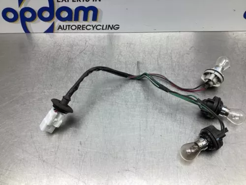 Printplaat Achterlicht rechts-