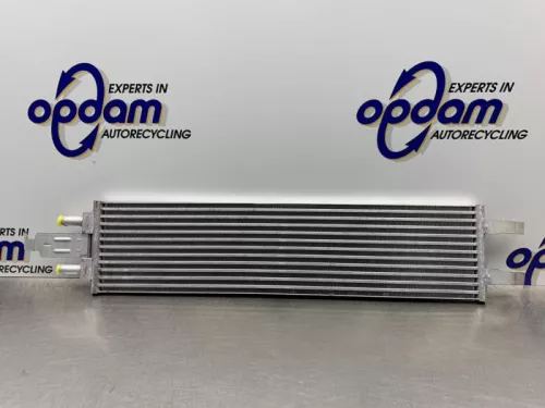 Radiateur-8095104 (21862337)