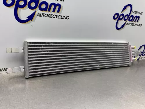 Radiateur-8095104 (21862337)