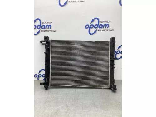 Radiateur-8152617 (21104705)