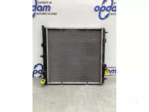 Radiateur-8079698 (19406559)