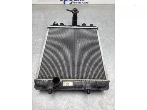 Radiateur-8101951 (20891385)