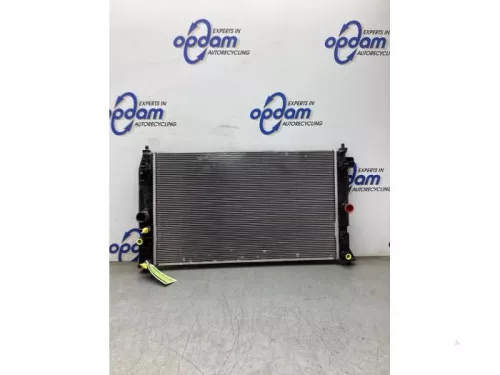 Radiateur-8266027 (22448310)