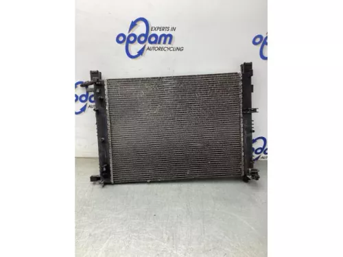 Radiateur-8071372 (20463765)