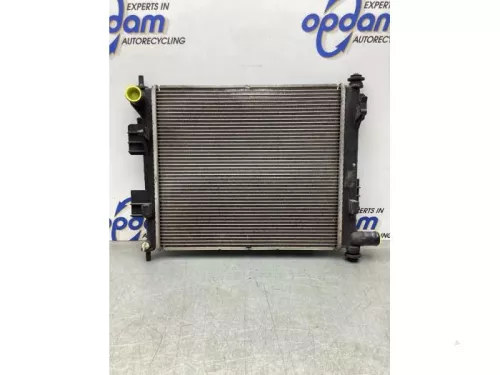 Radiateur-8055054 (19081787)