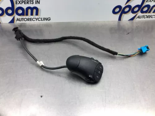 Radiobediening Stuur-8203656 (21647584)
