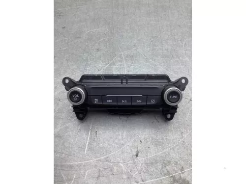 Radiobedienings paneel-8176082