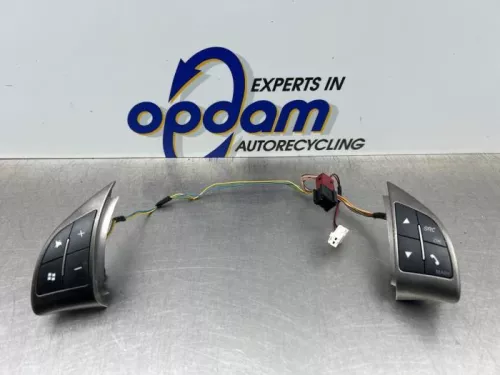 Radiobedienings paneel-8295530