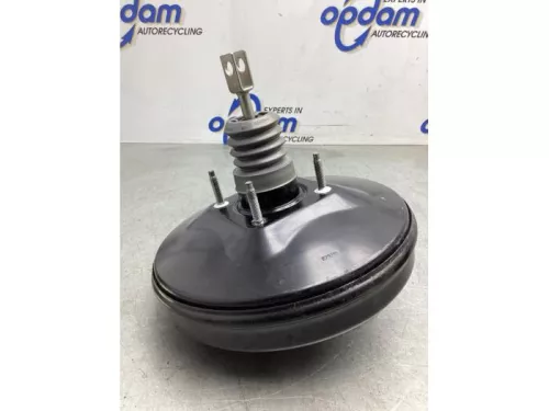 Rembekrachtiger-8093933