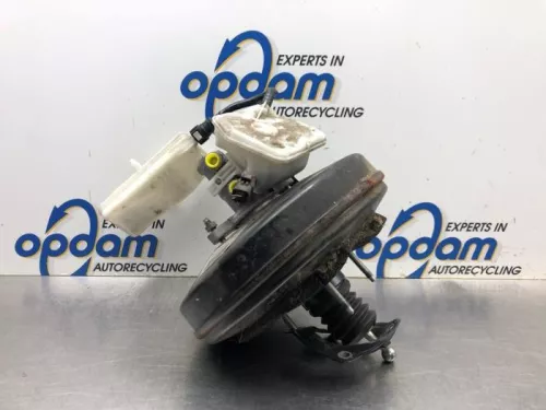 Rembekrachtiger-8091445