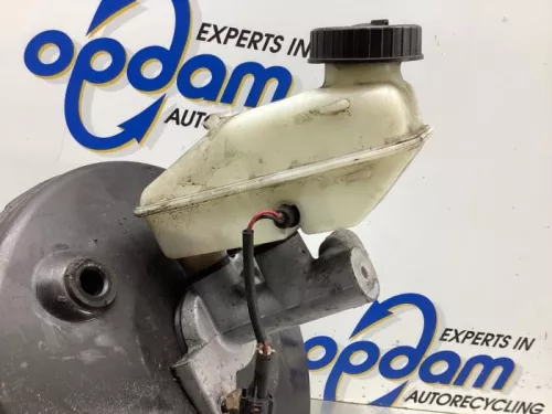 Rembekrachtiger-8061581