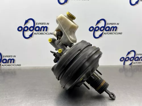 Rembekrachtiger-8301318