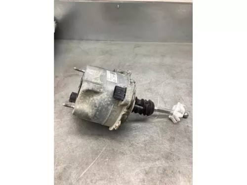 Rembekrachtiger-8191011