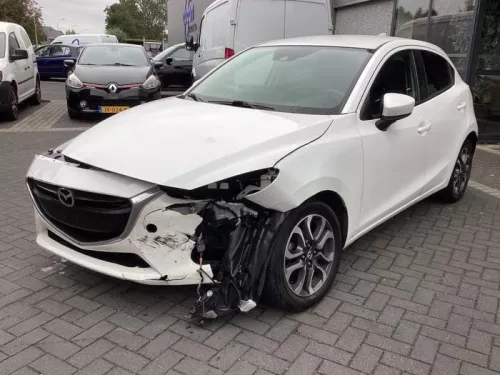 Aandrijfas links-voor-7974996 (21185277)