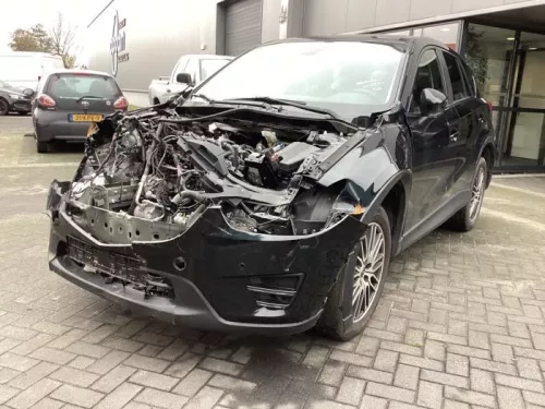 Aandrijfas links-voor-8153947 (21238139)