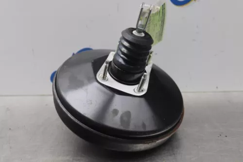 Rembekrachtiger-7877247