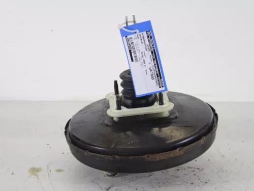 Rembekrachtiger-7887690