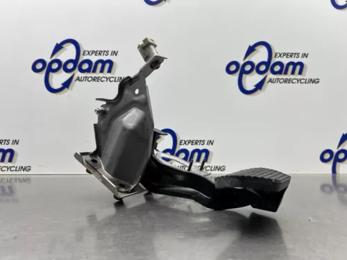 Rempedaal-8184557 (22092211)