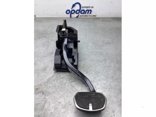 Rempedaal-8144350