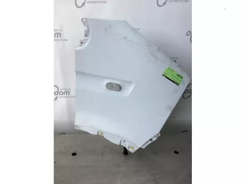 Scherm rechts-voor-7609754 (16507107)