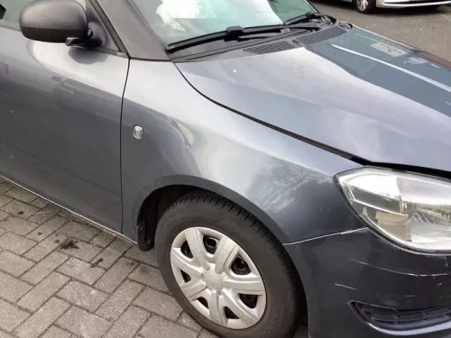 Scherm rechts-voor-8272661 (21901593)