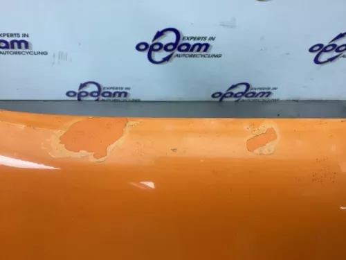 Scherm rechts-voor-8265236 (21752163)