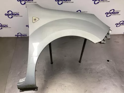 Scherm rechts-voor-8048620