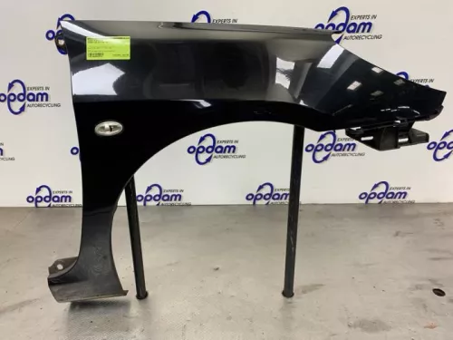 Scherm rechts-voor-8234013