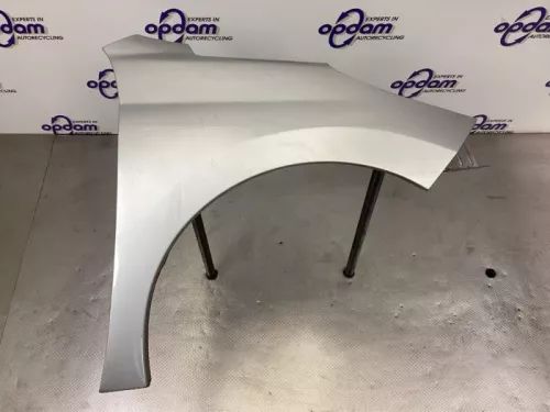Scherm rechts-voor-8171939 (20537518)