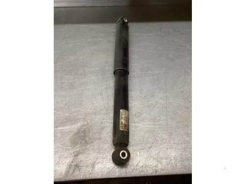 Schokdemper links-achter-7617793