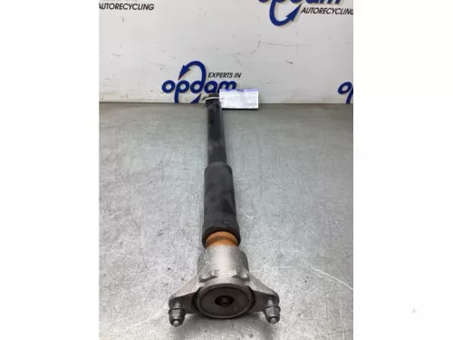 Schokdemper links-achter-8239140 (22358665)